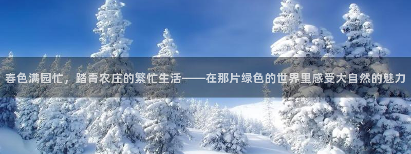 pg电子系列爆分视频