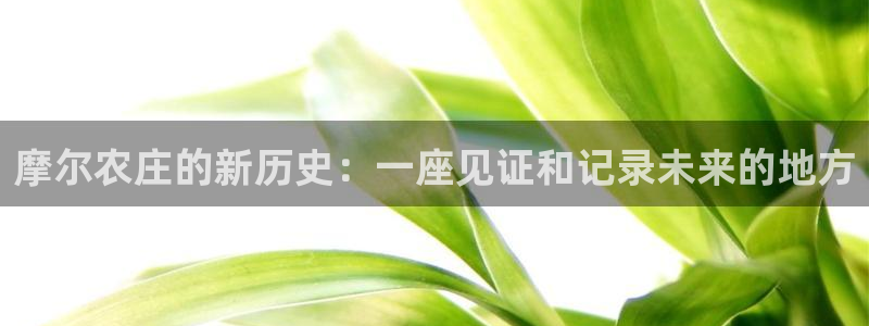 老外玩pg电子