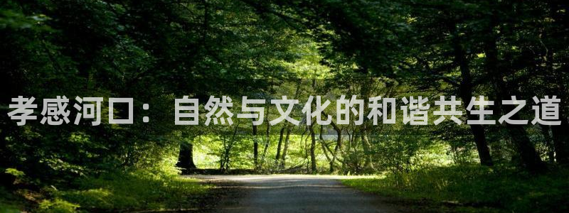pg电子怎么天天输