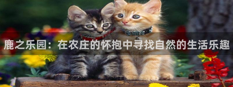 pg电子赏金女王技巧