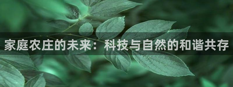 pg电子是正规的吗